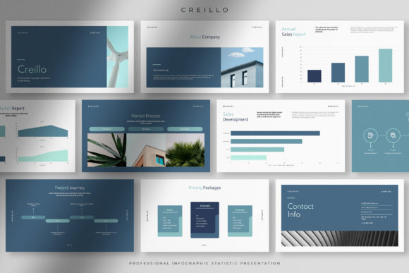 The Power of Infographic Statistics Presentation in Modern Business Communication